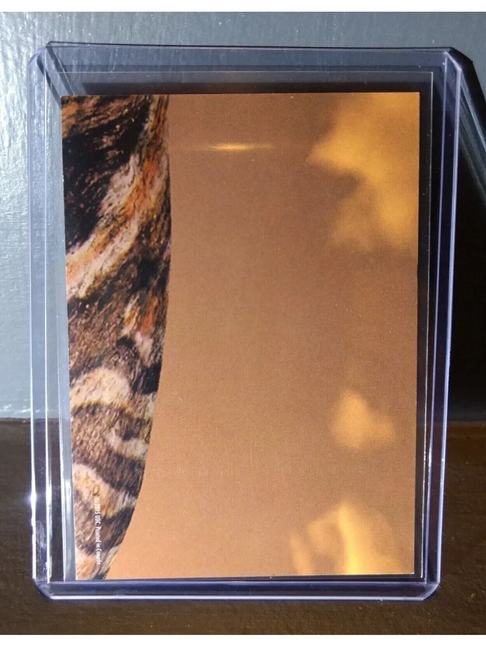 2015 Upper Deck Dinosaurs Apatosaurus #S-4 Trading Sticker Card